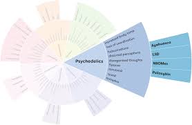 It's next to impossible to achieve any effects from tripping a day after your first trip unless you vastly increase your dose. Lsd Alcohol And Drug Foundation