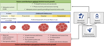 The overall average patient rating of health first pharmacy is excellent. Low Muscle Mass And Strength In Pediatrics Patients Why Should We Care Clinical Nutrition