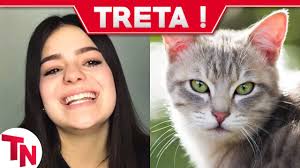 Viih tube, uma youtuber que possuía mais de 288 milhões de acessos gerais em no youtube, teve seu canal excluído após toda a gato diz: Viih Tube Cospe Na Boca De Gato E Causa Revolta Na Internet Youtube