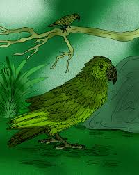 © brian choo the giant parrot heracles inexpectatus lived 16 to 19 million years ago in what is now new zealand. Heracles Inexpectatus Wikipedia