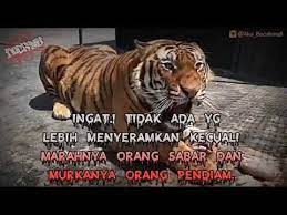 Kata kata kecewa untuk sahabat. Gambar Kata Marahnya Orang Pendiam Healthy Life Orang Marah Gambar