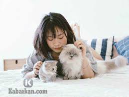 Maybe you would like to learn more about one of these? Kode Alam Kucing Kawin Ketabrak Mati 2d 3d 4d Erek Erek Primbon