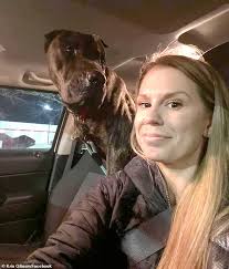 Dog 'abducted from his Florida home' is found 1,400 miles away in Michigan  two months later