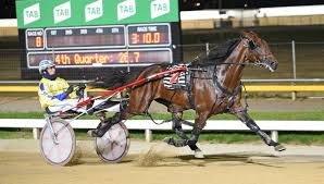 Check spelling or type a new query. Shepparton News 5 03 21 Shepparton Harness Racing Club