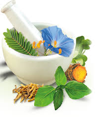 Pin On Herbal Medicines For Intestinal Diseases