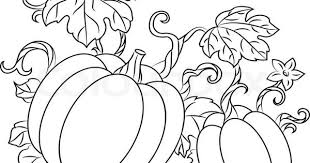 4561129 Pumpkins Harvest Jpg 800 609 Pixels Pumpkin Coloring Pages Fall Coloring Pages Pumpkin Drawing See more ideas about plant drawing, painting patterns, painting. pumpkin coloring pages fall coloring