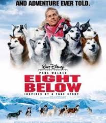 Https Video Egybest News Watch Php Vid 9f2b3819b Paul Walker Movies Dog Movies Below Movie
