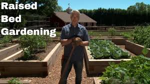 Check spelling or type a new query. Learn The Benefits Of Gardening In Raised Beds Youtube