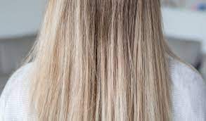 happy blonde gelbstich entfernen ohne farben es funktioniert gelbstich haare silbershampoo hautbehandlung