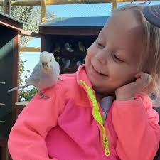 Fundraiser by Nick Priscilla Roy : Nadley's Journey