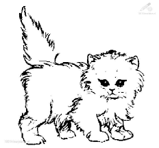 Howdy everyone , our most recent coloringsheet which you canhave fun with is excavator digger coloring pages, listed in excavatorcategory. 1001 Coloringpages Animals Cat Cat Coloring Page