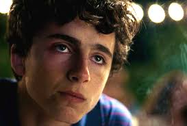 Happy birthday timothée chalamet pic.twitter.com/8xrqsxplue. Call Me By Your Name Sequel Disrupted By Guadagnino Lockdown Indiewire