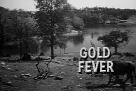 Image result for Dark Harvest Gold 1977 Fedders
