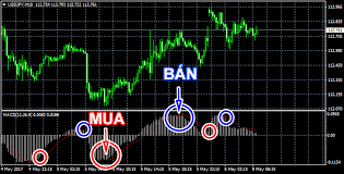 Thời điểm giao dịch mua và bán trên Forex