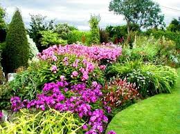 Boyce S Gardens Ireland Dream Garden Flower Garden Herbaceous Border