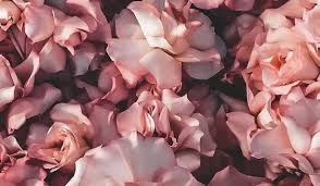 Vintage Aesthetic Updated Their Cover Photo Vintage Aesthetic Facebook See more ideas about aesthetic, aesthetic pictures, aesthetic vintage. vintage aesthetic updated their cover