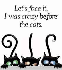 Cat Memes Of The Day 32 Pics Ep60 Animalmemes Catmemes Memes Lovely Animals World In 2020 Funny Cat Memes Cat Memes Cat Lady Humor