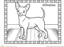 Enjoy this chihuahua coloring page. Chihuahua Dog Coloring Page Education Com Coloring Pages Dog Coloring Page Animal Coloring Pages