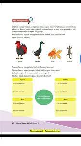 Warna bebek muda, entah itu jantan atau bet. Karakteristik Tempat Hidup Bebek Cara Golden