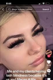 can somebody explain the length in the reference values? also which length  must be put here??