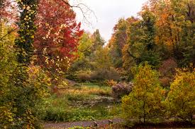 Book hotels quickly and easily. Alter Botanische Garten Gottingen Foto Bild Landschaft Garten Parklandschaften Natur Bilder Auf Fotocommunity