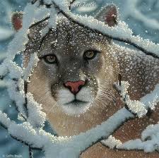 Pin On Many Great Animals
