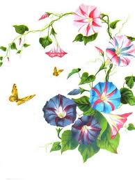 Morning Glories And Butterflies Floral Wreath Watercolor Morning Glory Tattoo Flower Painting