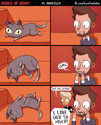 Looking back, this was a foolish notion, but i am now a cat owner and there's no turning back. Pin On Make Em Laugh