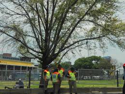 A New Approach To The Training Of Traffic Officers Insurance Chat