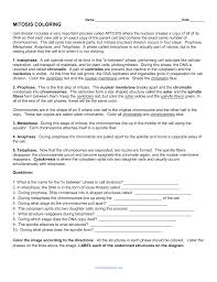 Some of the worksheets for this concept are the cell cycle coloring work, mitosis coloring, meiosis and mitosis answers work, biology 1 work i selected answers, cell division occurs in a series of stages or, mitosis. Mitosis Coloring