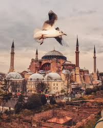 Ayasofya Istanbul Istanbul Islam Mimarisi Camiler