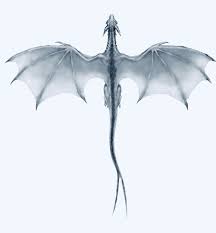 Animalsplanet Blackandwhiteanimalphotography Dragontattoodesi Small Dragon Tattoos Dragon Tattoo Designs Dragon Tattoo