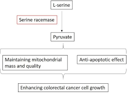 Multivariate analysis also demonstrated that tumor location in the colon or rectum, differentiation, venous invasion and the expression of cea were independent. Key To Beating Colorectal Cancer Hiding In Plain Sight Eurekalert Science News
