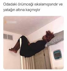 Fidannovruzova Adli Kullanicinin Komik Seyler Panosundaki Pin 2020 Komik Seyler Komik Capsler Komik Alintilar