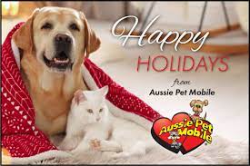Maybe you would like to learn more about one of these? It S A Wonderful Time Of The Year Aussie Pet Mobile Greater Orlando