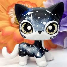 Some cat groomers even travel to your home to do the grooming there to avoid making you taking your cat to them. Toys Games 3pcs Cute Littlest Pet Shop Lps Short Hair Cat Cats Kitten 816 886 3573 Xmas Kindernest Hanau De