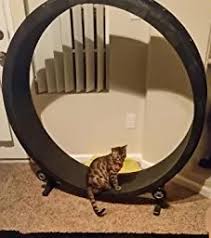 We studied some pics and decided to make a step by step video. 5 Best Exercise Wheels For Cats Perfect For Indoor Cats