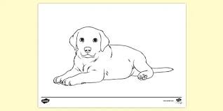 38+ pet store coloring pages for printing and coloring. Free Dog Colouring Page To Print Teacher Made