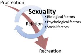 Image result for Sexual Development