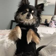 There is a suggested additional donation of $30 for animals coming from outside of santa fe county. Santa Fe Pet Clinic Veterinarians 13507 S Mur Len Rd Olathe Ks Phone Number Yelp