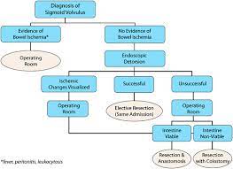 Sigmoid And Cecal Volvulus Anesthesia Key