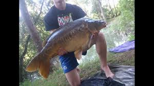 Peche Surface De La Carpe Au Pain Youtube