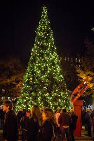 Aydınlatma mağazası ve i̇nşaat ve peyzaj. Regal Celebration Of Lights City Of Knoxville