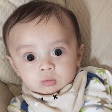 Wesley Kash Supporters‎‏ کی پروفائل‎