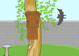 It helps your plants to thrive and become healthier, stronger, and greener. Attract Bats To Your Garden How To Attract Bats Garden Planning Wildlife Gardening