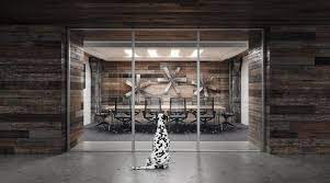 Pyran Platinum Fire Rated Glass