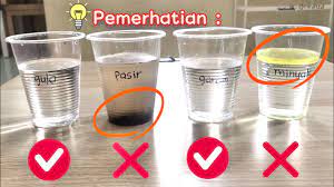 Laman web peta minda sains ini sedikit sebanyak dapat membantu para guru serta murid bagi lebih memahami sains sekolah rendah. Eksperimen Sains Mudah Bahan Larut Dan Bahan Tidak Larut Dalam Air Tadika Sekolah Youtube