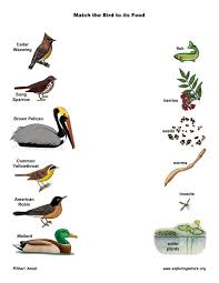 Different Birds And Their Meanings Match The Birds To Their Food Nature School Bird Unit Study Birds
