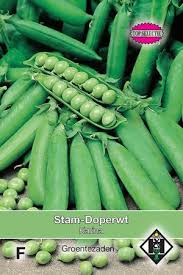 Two peas garden, sequim, washington. Karina Low Green Peas Garden Peas Vegetable Seeds Tuinzaden Eu