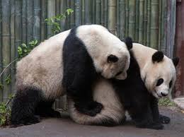 Bagi yang ingin mendapatkan kbbi offline (tidak memerlukan koneksi internet), silakan mengunjungi halaman web ini kbbi offline. Sinonim Kontekstual Sinonim Dan Antonim Kontekstual